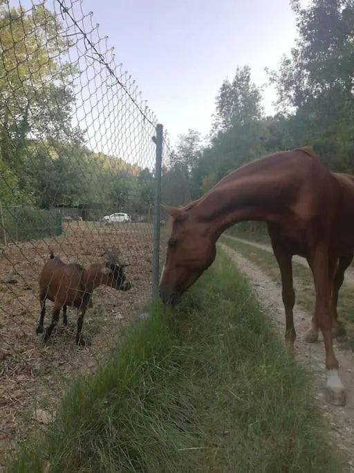 Casa Con Encanto En El Bosque Y A 10 Min De Girona Celrá